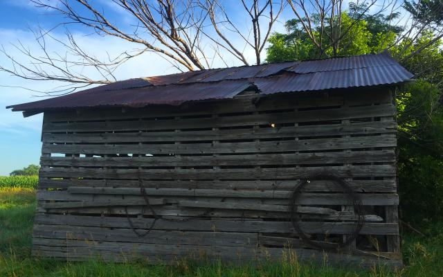 Old Farm Shed